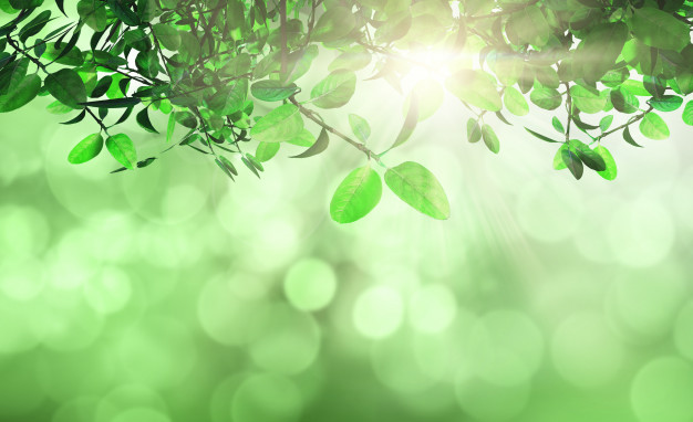 Teadit North America's Reduce, Reuse, Recycle Programs