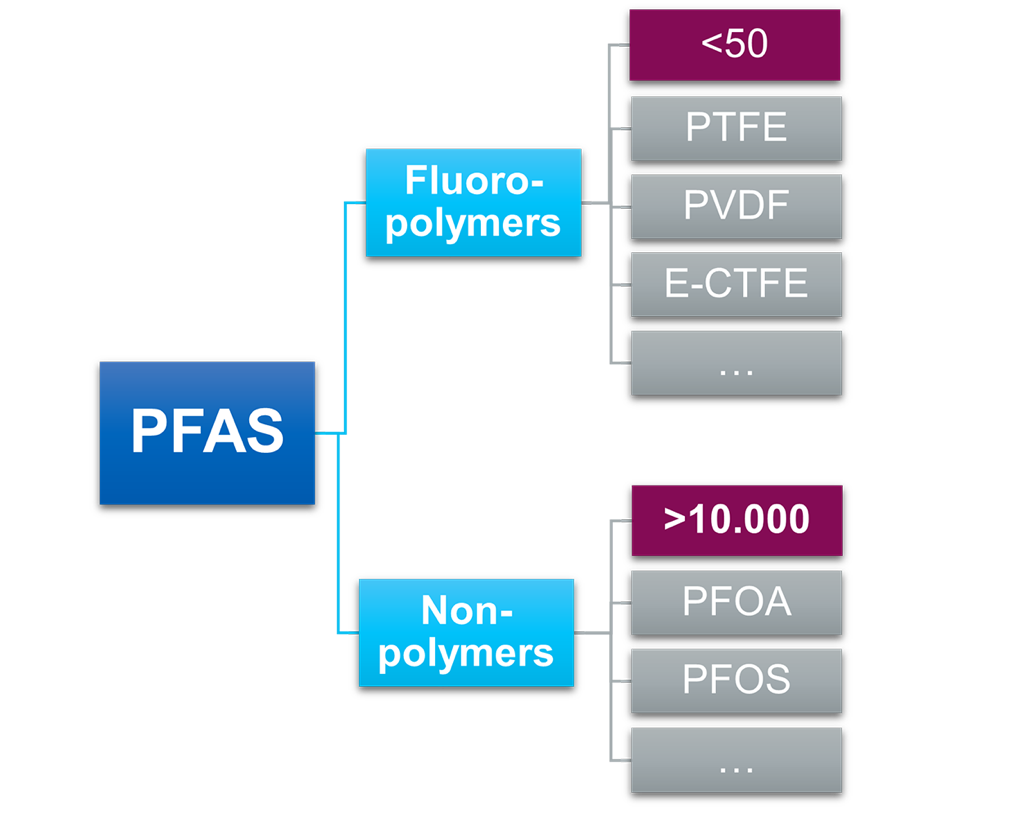 Division of non-polymer and polymer PFAS. Division of non-polymer and polymer PFAS.
