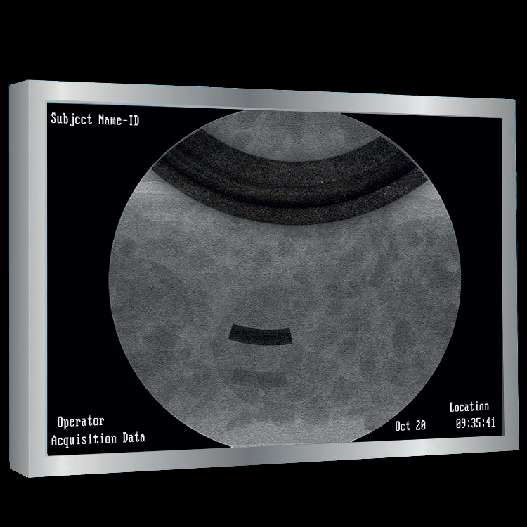 Detectable gasket materials help users identify contaminants. Gaskets for High-Purity Applications
