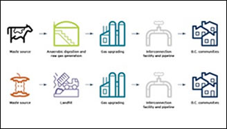 Figure 3: Renewable natural gas production schemes. Figure 3: Renewable natural gas production schemes